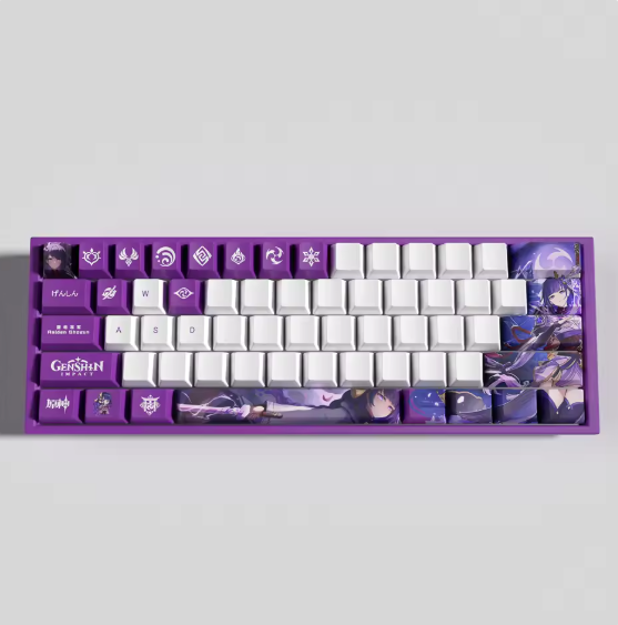 Genshin Impact Raiden Shogun Keycaps – Limited Edition (29/13 Keys)